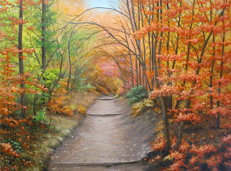Autumn Forest Pathway
