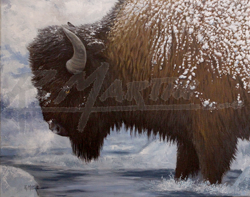 Winter Buffalo